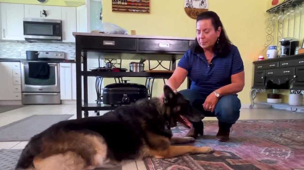 Retired Cape Coral woman finds purpose with her rescue dogs
