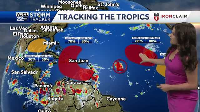 Tropics: National Hurricane Center gives update on 5 systems - Vimarsana News
