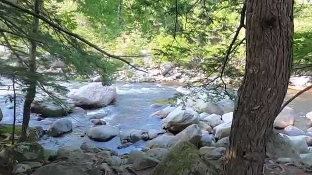 Visitors to NH's lakes, streams urged to take precautions - Vimarsana News