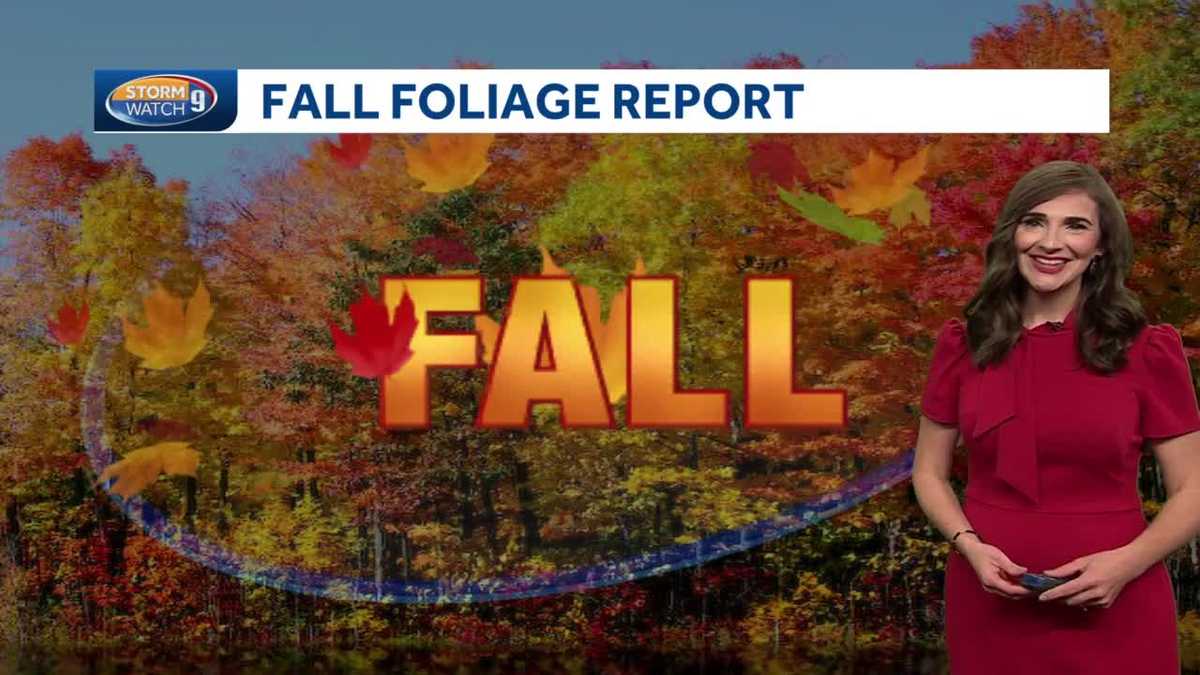 New Hampshire foliage tracker Peak color remains