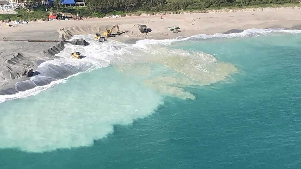 Researchers study how beach nourishment affects blacktip shark migration in South Florida