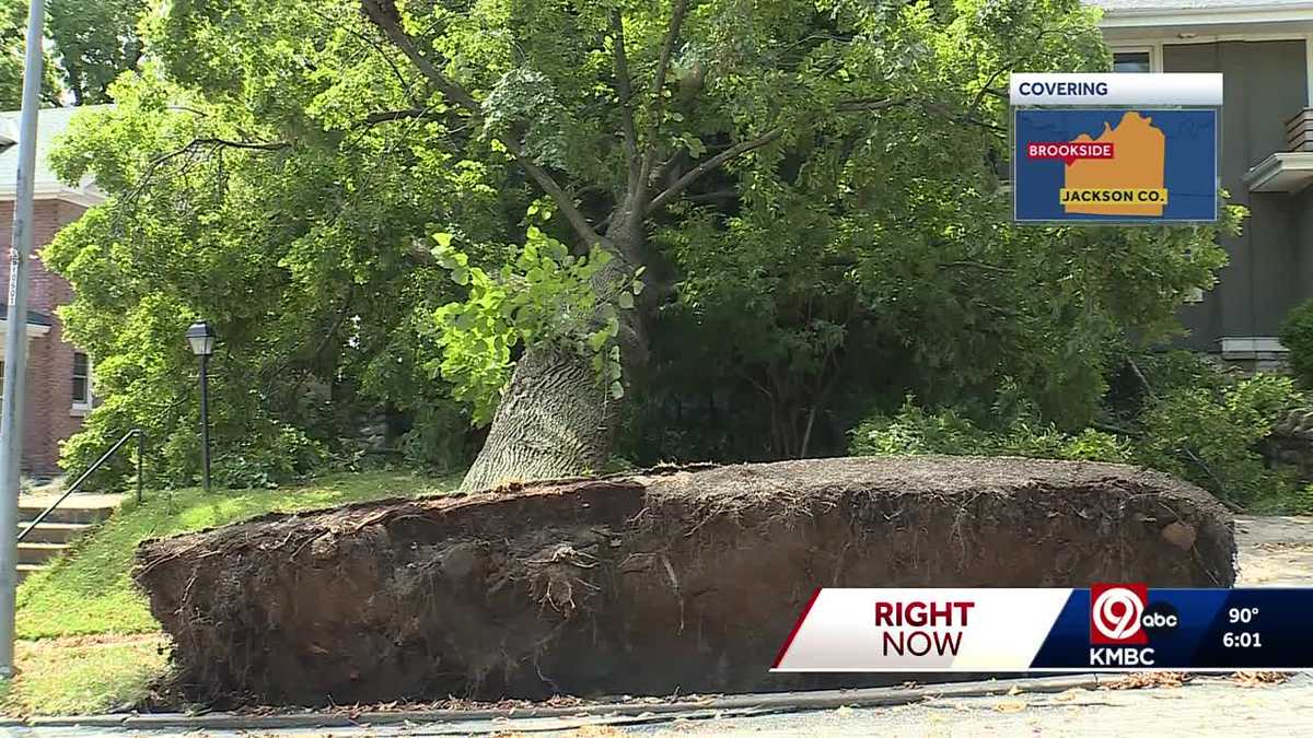Kansas City weather: Trees down, homes struck, power lines repaired