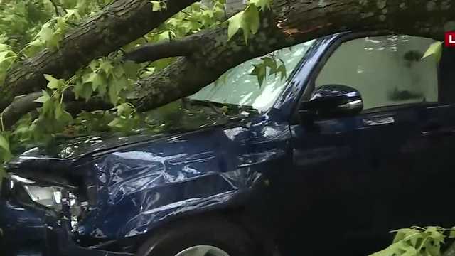 Tree damage reported throughout Brookside neighborhood - Vimarsana News