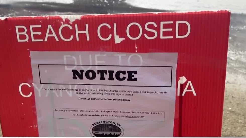 Leddy Beach reopens following possible carcinogen contamination