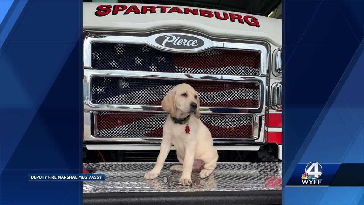 Spartanburg Fire Department has the cutest new employee