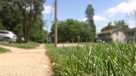 Summer heat wave: Do's and don'ts for taking care of your grass during Central Iowa's lawn watering ban