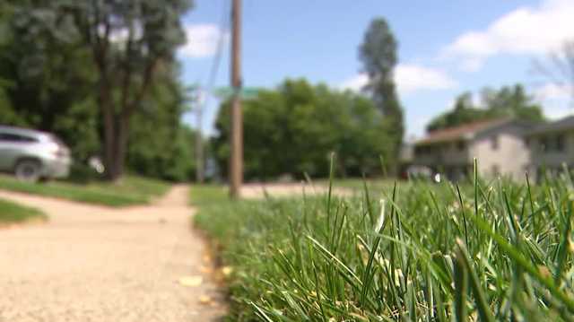 Summer heat wave: Do's and don'ts for taking care of your grass during Central Iowa's lawn watering ban