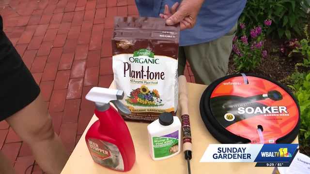 Sunday Gardener: Properly hydrating the garden in the summer heat