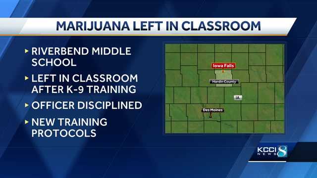 Iowa Falls teacher finds misplaced K-9 training marijuana in classroom - Vimarsana News