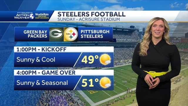 Seasonal & Sunny Steeler Sunday