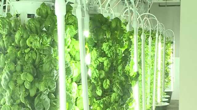 Gather Omaha partners with local business to sell produce - Vimarsana News