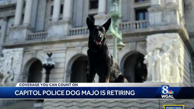 A Harrisburg Capitol police dog is retiring after 8 years of service - Vimarsana News