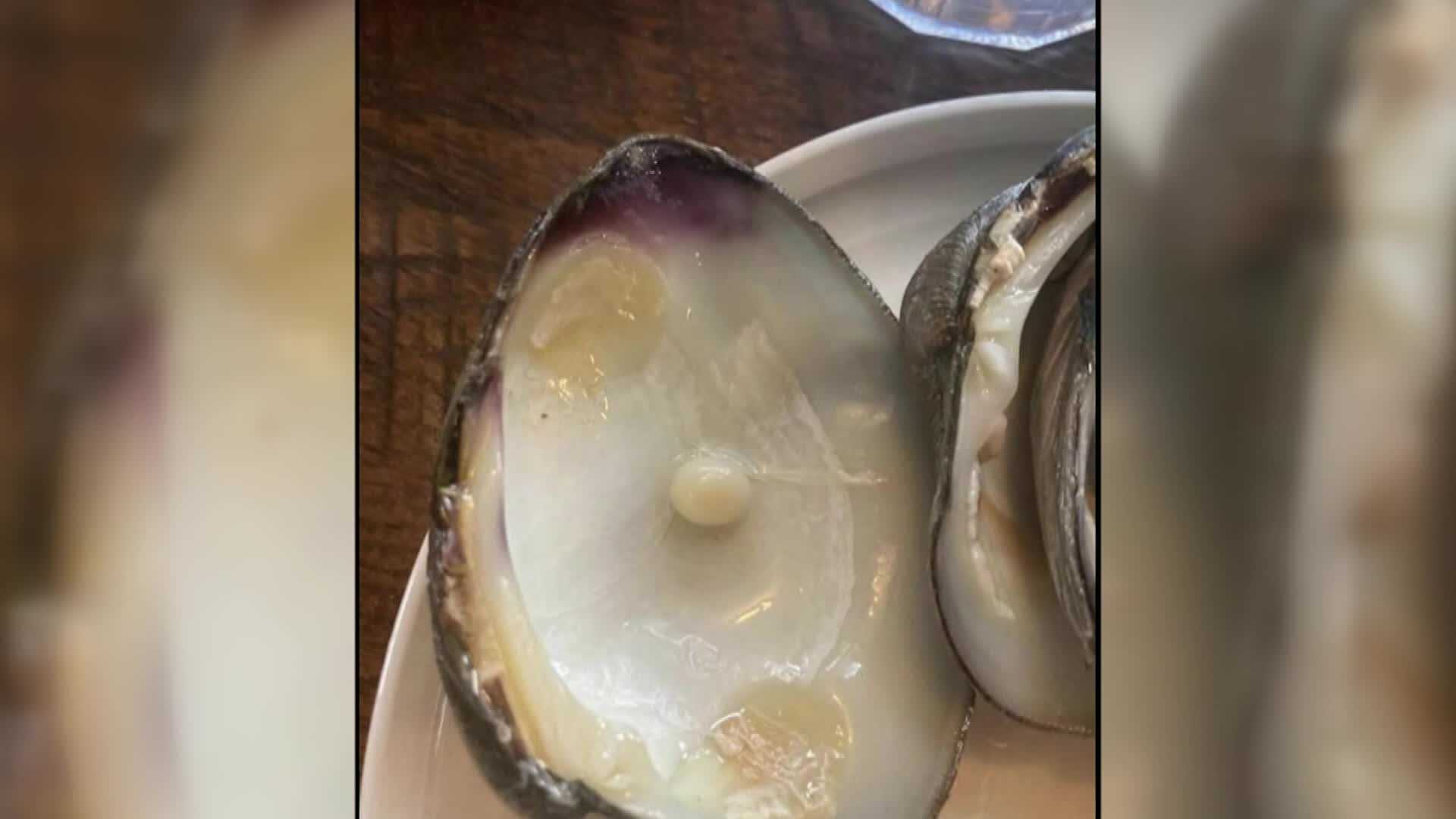 WATCH: Pearl found during meal turned into engagement ring - Vimarsana News