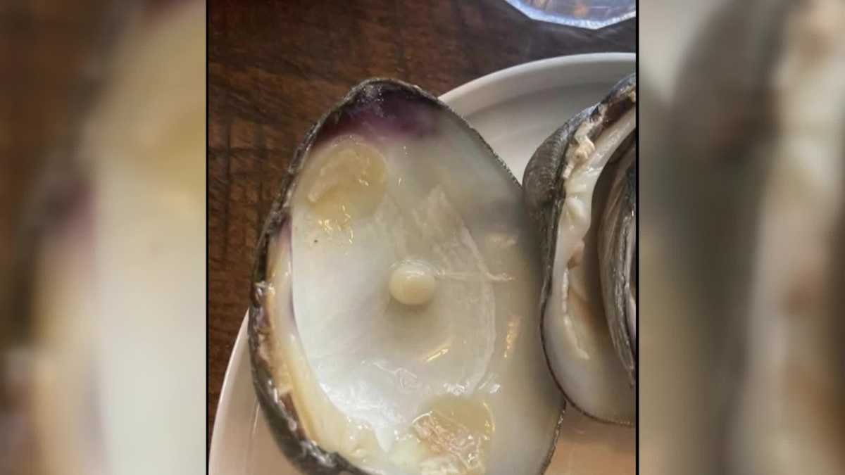 New York diner finds pearl in oyster