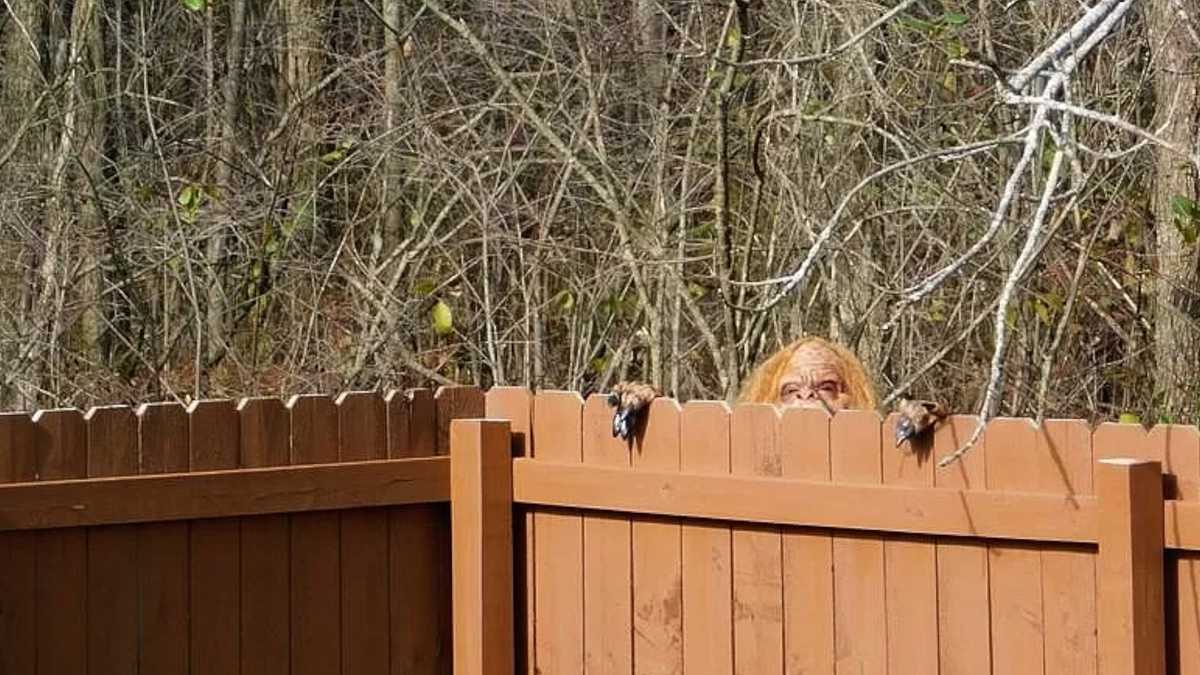 Is that Bigfoot? Something hairy's going on in these real estate photos