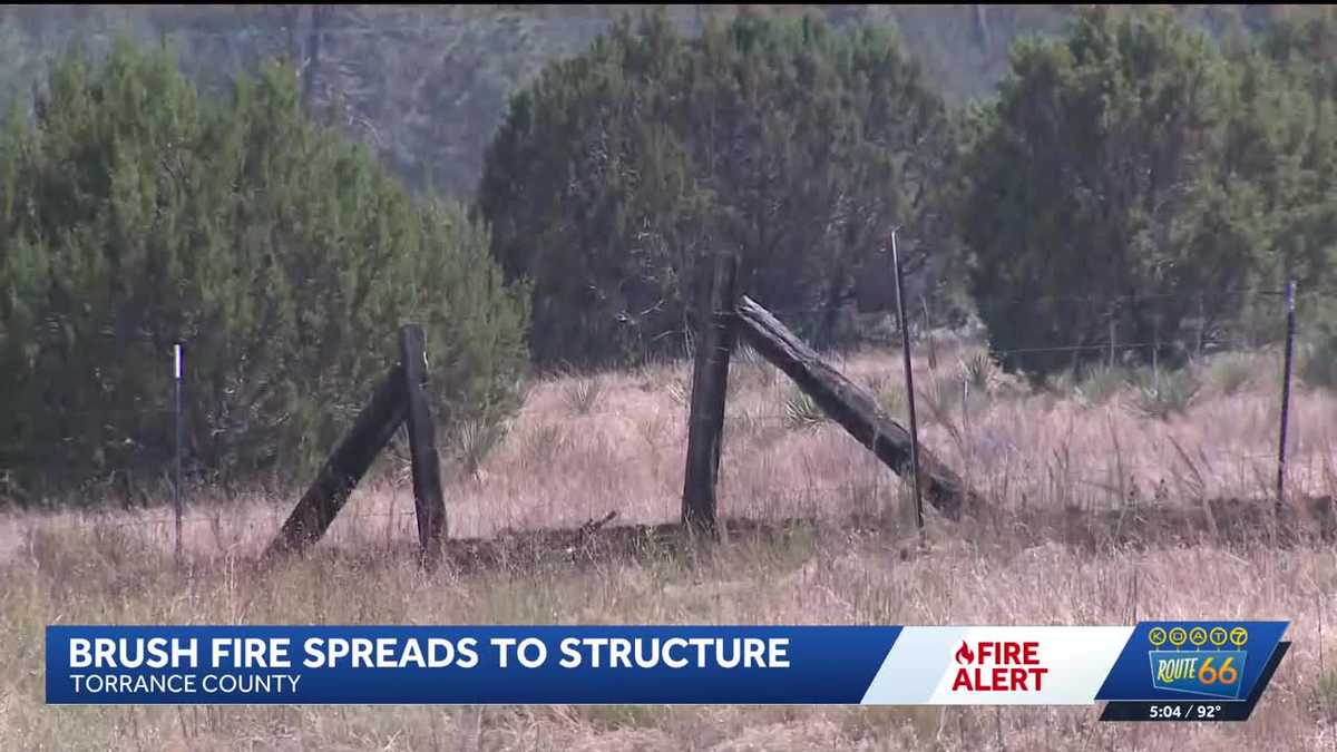 Crews responding to brush fire in Edgewood