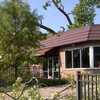 Tree Rips Throught Roof of Popular Pizza Shop on Milwaukee's West Side