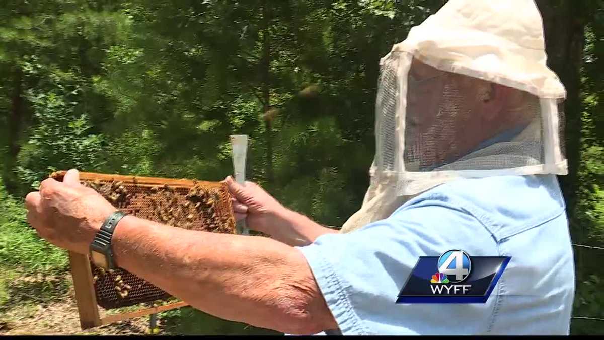 Upstate beekeeper known as ‘Honey Man’ to receive top award