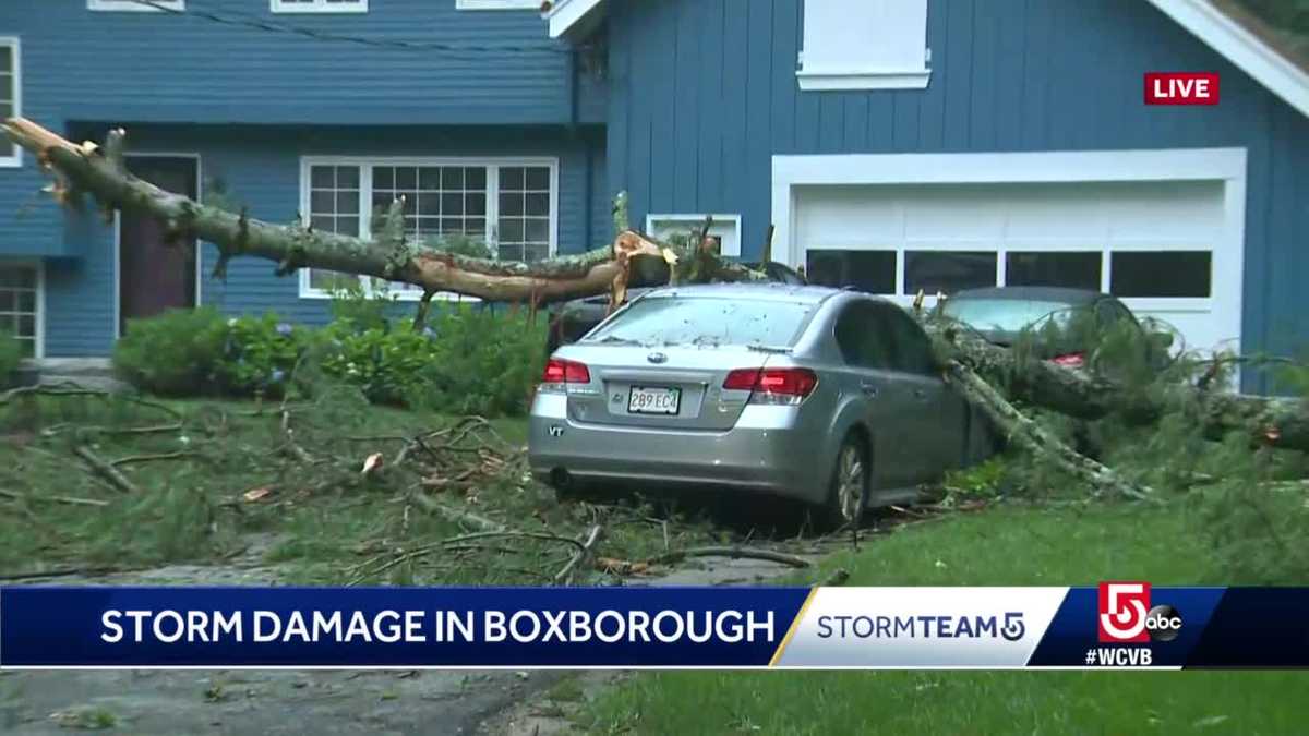Storms tear down trees, knock out power overnight