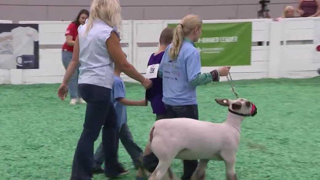 Kentucky State Fair’s Sunshine Class creates opportunities for people with disabilities