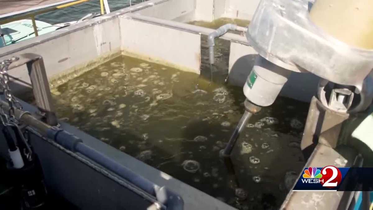 Technology turns algae, bio-solids into sustainable fuel at Altamonte ...