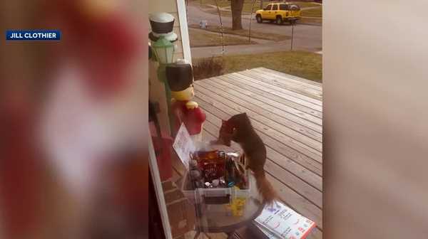 watch: des moines porch pirate swipes snacks meant for delivery drivers