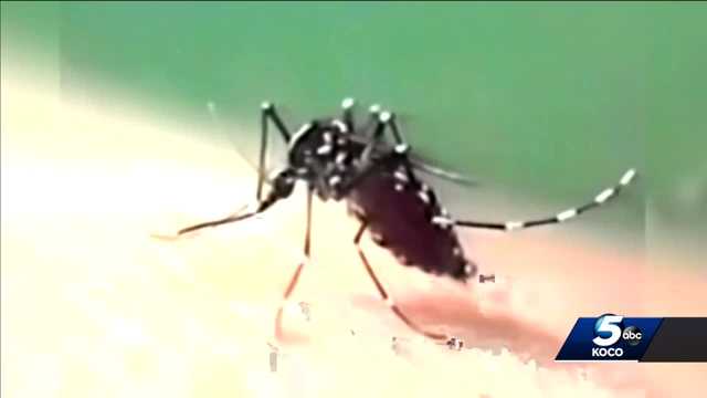 Oklahoma health department sends reminder about West Nile virus - Vimarsana News