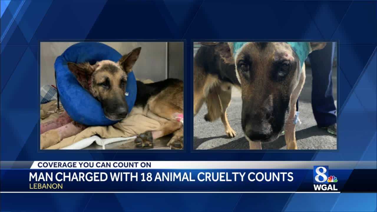 Lebanon Man Charged With Animal Cruelty