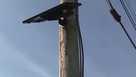 Flock cameras stolen and vandalized in Kearney as privacy debate grows