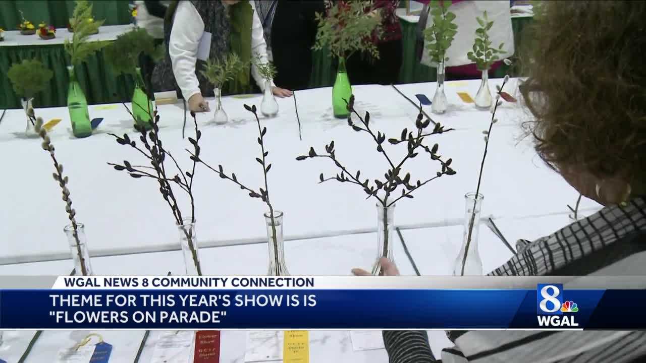 Cardinal Pennsylvania Your Exposicin Grocery  Garden Center