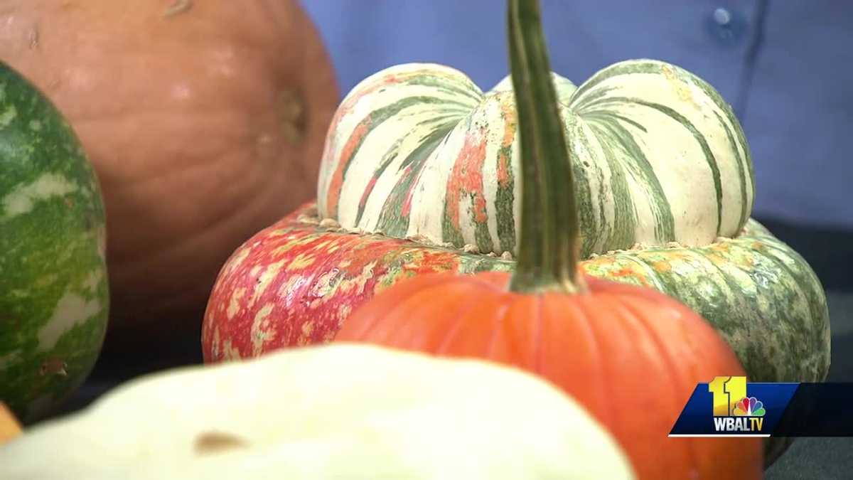 Plant Questions Will my orchid rebloom?