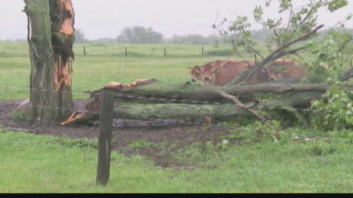 Cleanup From Storm Damage Continues In Mercer County