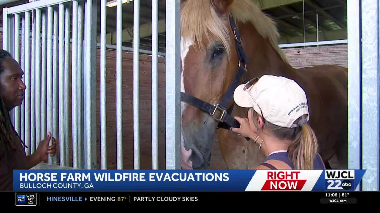 Horses evacuated as fires threaten farm in Bulloch County