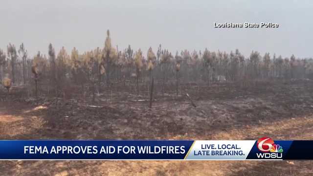 FEMA approves federal grant to fight wildfires in Vernon, Rapides parishes - Vimarsana News
