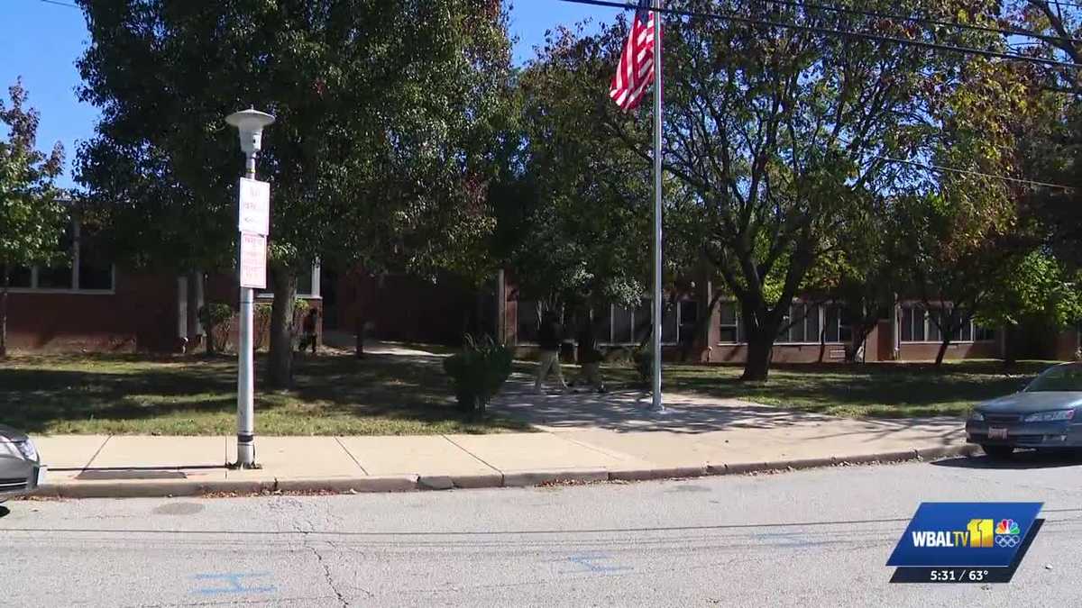 Raccoon found at Baltimore City school tests positive for rabies