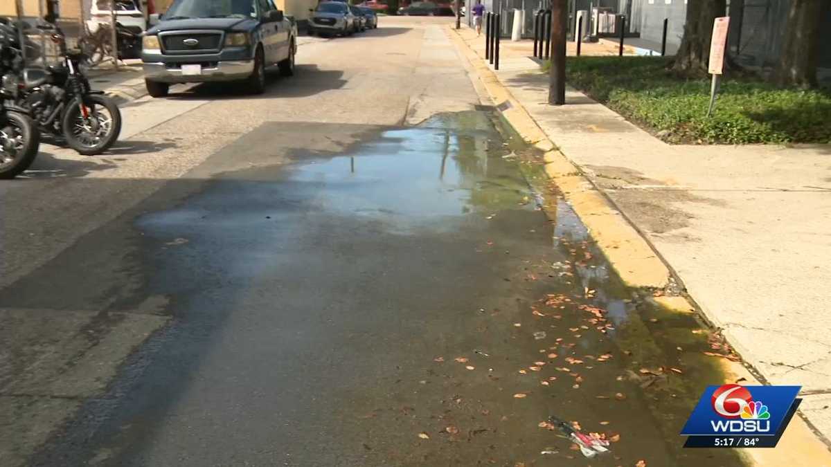 New Orleans business owner says Palm Street potholes are damaging cars and driving customers away