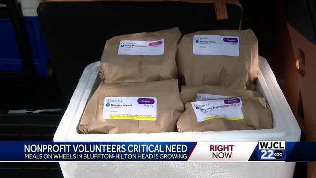 Lowcountry nonprofit in critical need of volunteers. Here's how you can help - Vimarsana News