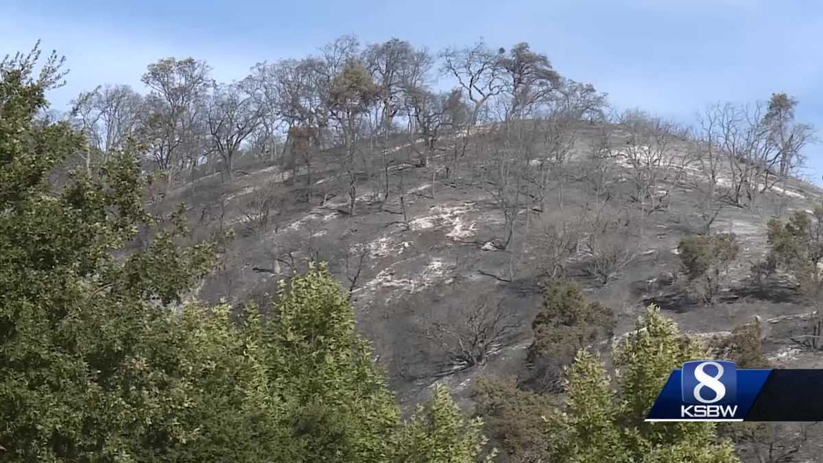 Multiple agencies join forces to battle the Piney Fire