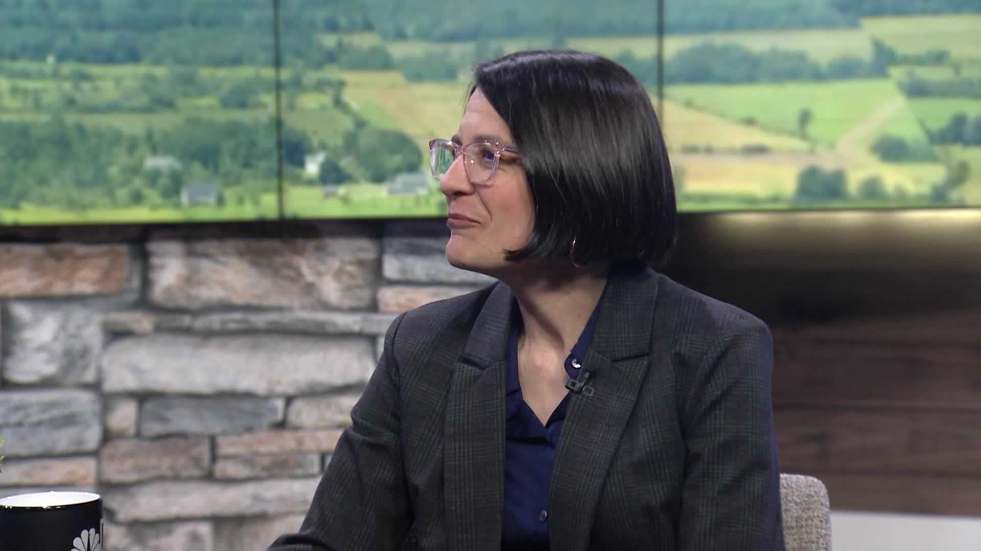 'I'm so proud to know him': Rep. Becca Balint remembers colleague - Vimarsana News