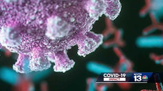 Monoclonal antibodies and how they help some COVID-19 patients - Vimarsana News