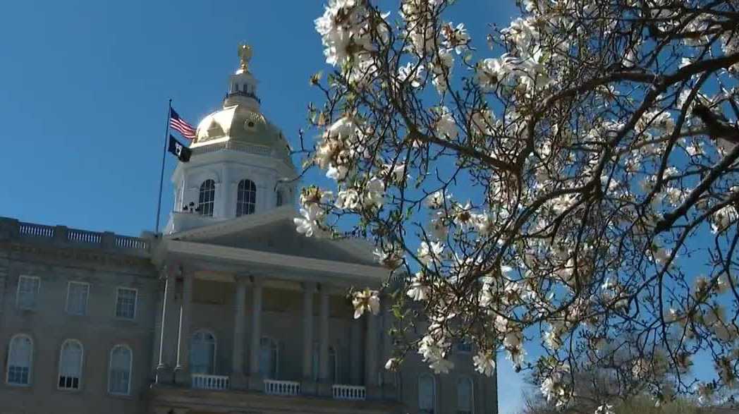 NH Senate committee recommends more study of bill to protect pregnancy resource centers