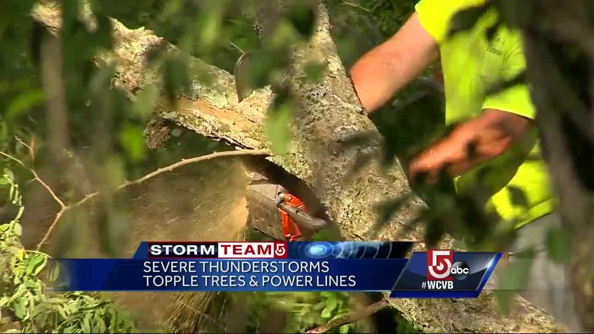Storms topple trees, rip down power lines