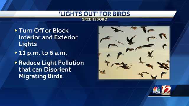 Greensboro's Lights Out initiative aims to reduce light pollution - Vimarsana News