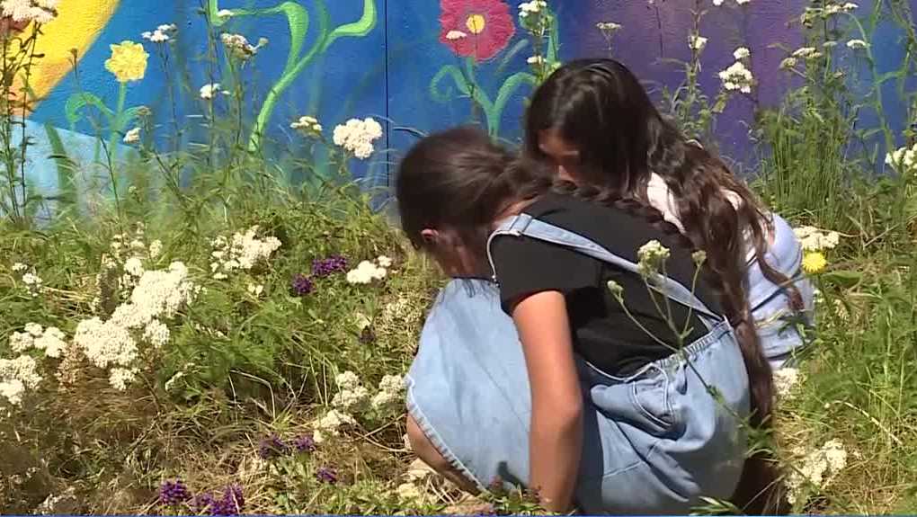 58 Ca. schools finding ways to combat local climate issues - Vimarsana News