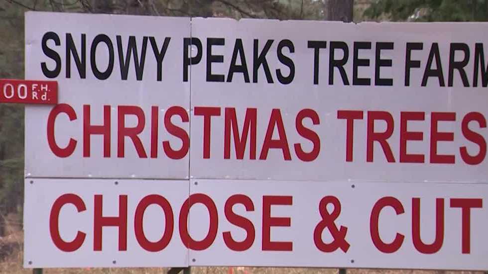 Tahoearea tree farm says Christmas tree permit is impacting business