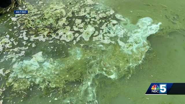 Out of state experts could have a solution to Vermont's cyanobacteria problem - Vimarsana News