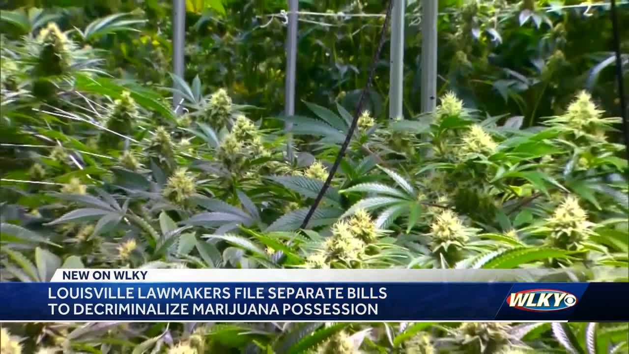 Louisville Lawmakers File Bills Aimed At Decriminalizing Marijuana In   3cbc9d41 5d4c 4294 8fd7 D57e4009fe3e 