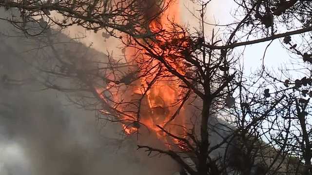 Boulder Creek residents and CAL FIRE on standby for fire risks amid dry lightning concerns