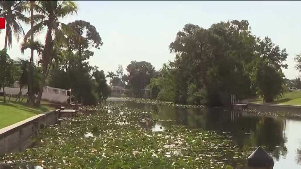 Anglers reel in invasive species at 2026 Southwest Florida Invasive Freshwater Fish Roundup