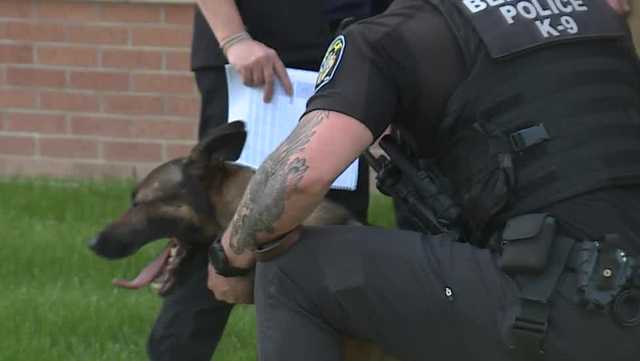 K9 medic training offered to Nebraska, Iowa and Missouri officers - Vimarsana News